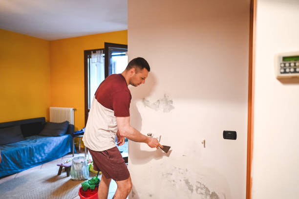 Best Preventive Mold Services in Springville, AL